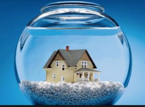 house_in_a_fishbowl_pic_-_Google_Search